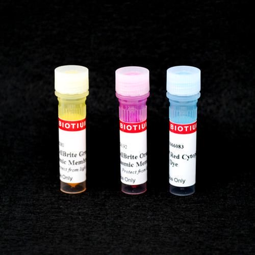Barwniki histopatologiczne - do histologii VWR CellBrite