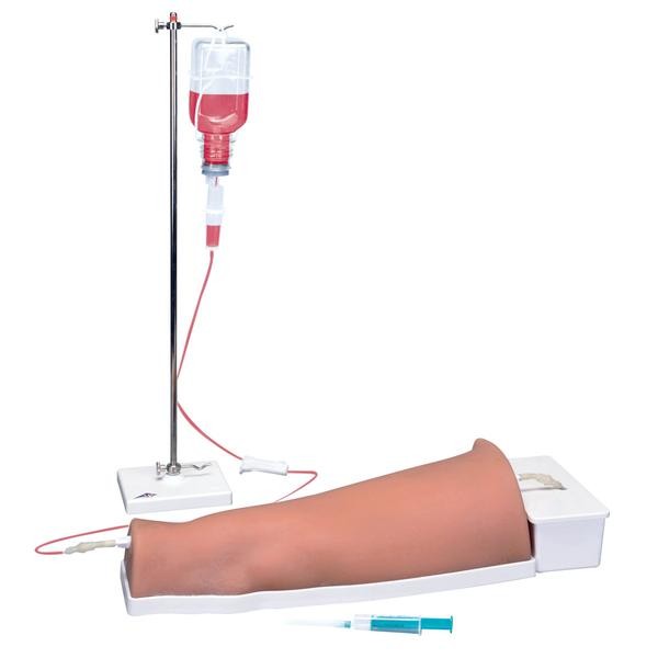 Modele zabiegowe 3B Scientific P60
