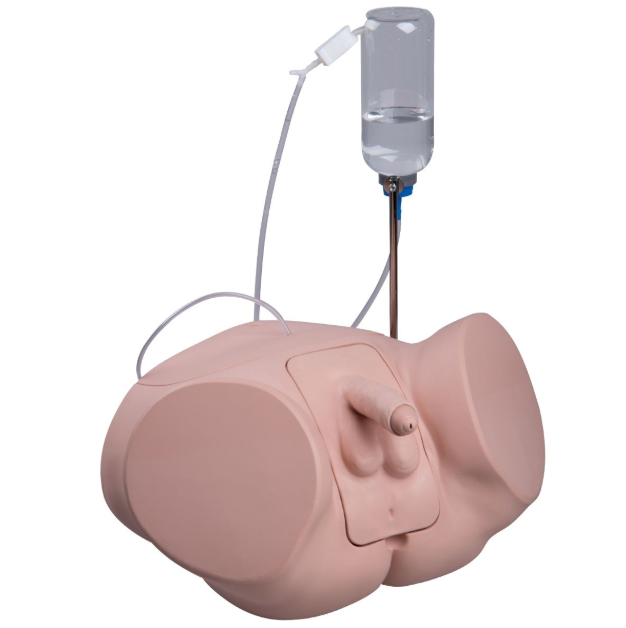 Modele zabiegowe 3B Scientific P93P-M
