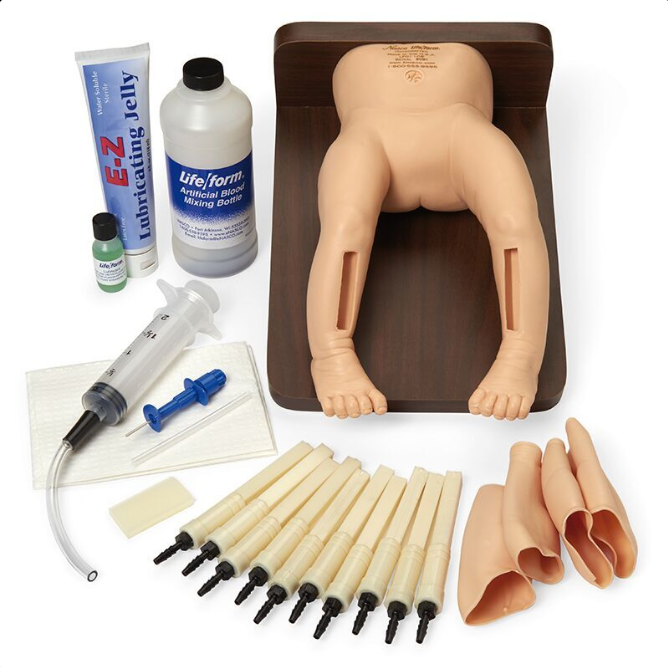 Modele zabiegowe 3B Scientific R10041