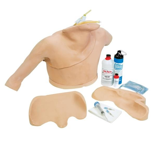 Modele zabiegowe 3B Scientific W44015