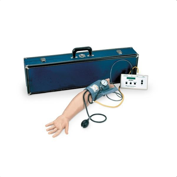 Modele zabiegowe 3B Scientific W44085