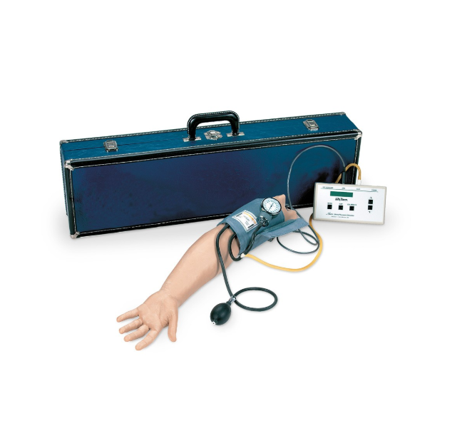 Modele zabiegowe 3B Scientific W44089