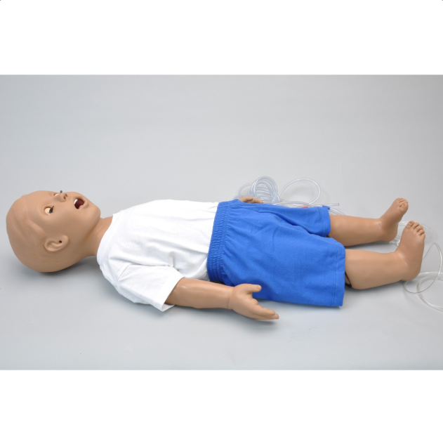 Modele zabiegowe 3B Scientific W45179