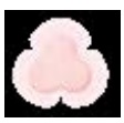 Opatrunki piankowe Smith&Nephew ALLEVYN GENTLE BORDER LITE MULTISITE