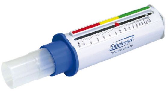 Pikflometry Sibelmed DATOSPIR PEAK 10 