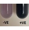 Testy do monitoringu powierzchni TSC Listeria / Salmonella / Ecoli/Coliform
