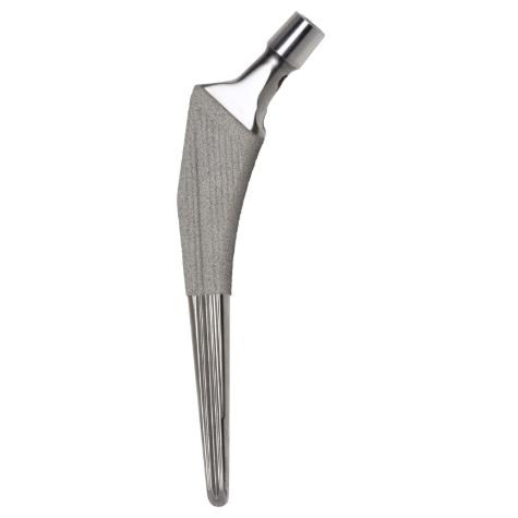Trzpienie endoprotez stawu biodrowego PERMEDICA ORTOPAEDICS SL SelfLocking - bezcementowy