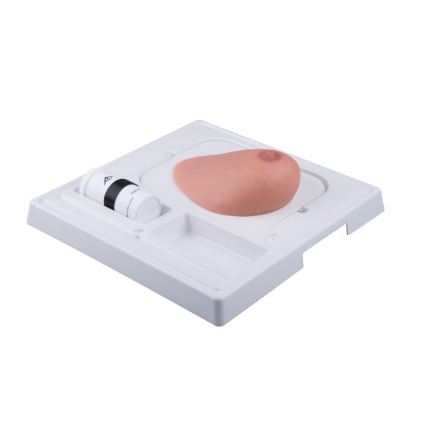 Modele zabiegowe 3B Scientific P125