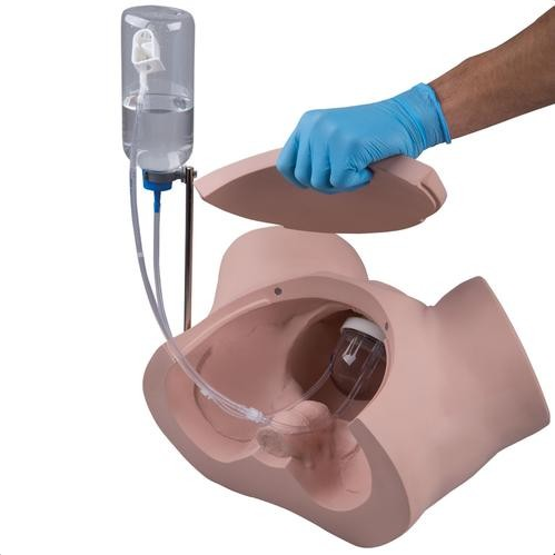 Modele zabiegowe 3B Scientific P93P-F