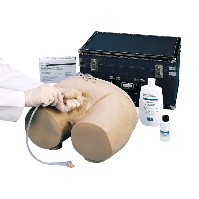 Modele zabiegowe 3B Scientific W44005