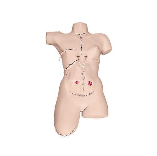 Modele zabiegowe 3B Scientific W44008