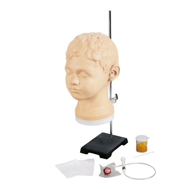 Modele zabiegowe 3B Scientific W44747