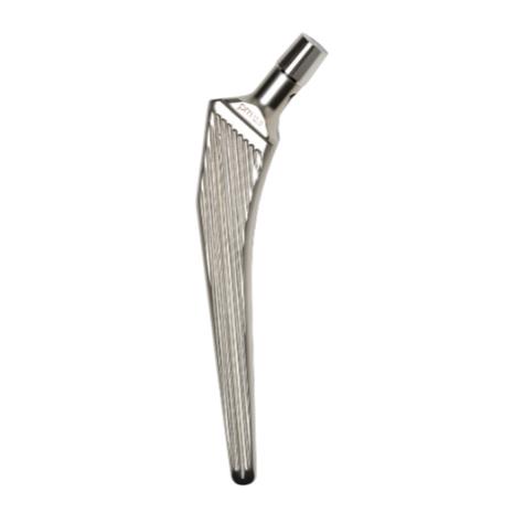 Trzpienie endoprotez stawu biodrowego PERMEDICA ORTHOPAEDICS SL SelfLocking - cementowany