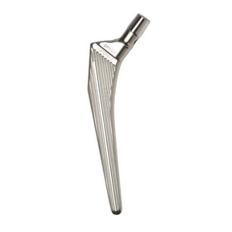 Trzpienie endoprotez stawu biodrowego PERMEDICA ORTHOPAEDICS SL SelfLocking - cementowany