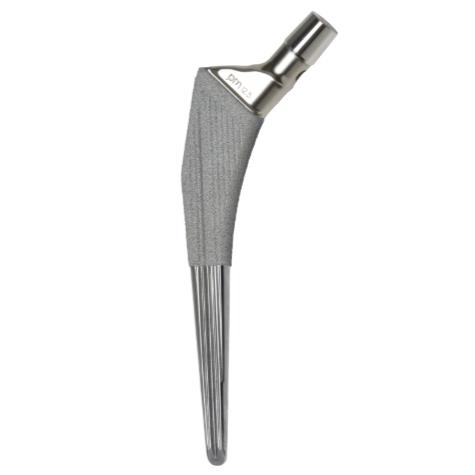 Trzpienie endoprotez stawu biodrowego PERMEDICA ORTOPAEDICS SL SelfLocking - bezcementowy
