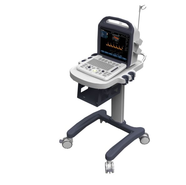 Ultrasonografy mobilne przyłóżkowe Anasonic C5Plus