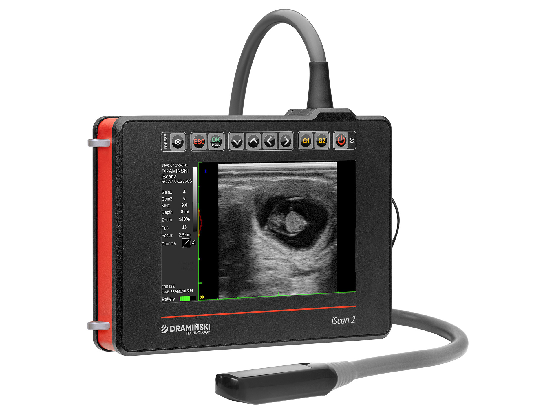 Ultrasonografy wielonarządowe weterynaryjne - USG DRAMIŃSKI iScan 2