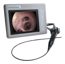 Videoendoskopy weterynaryjne